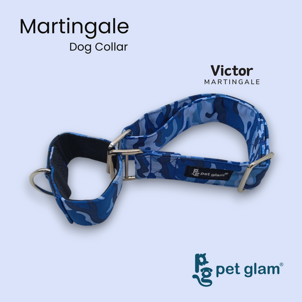 Martingale Collar for Dogs -Victor