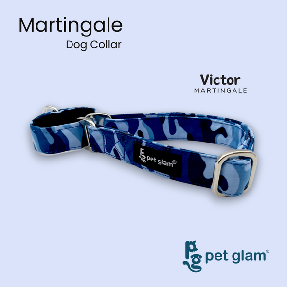 Martingale Collar for Dogs -Victor