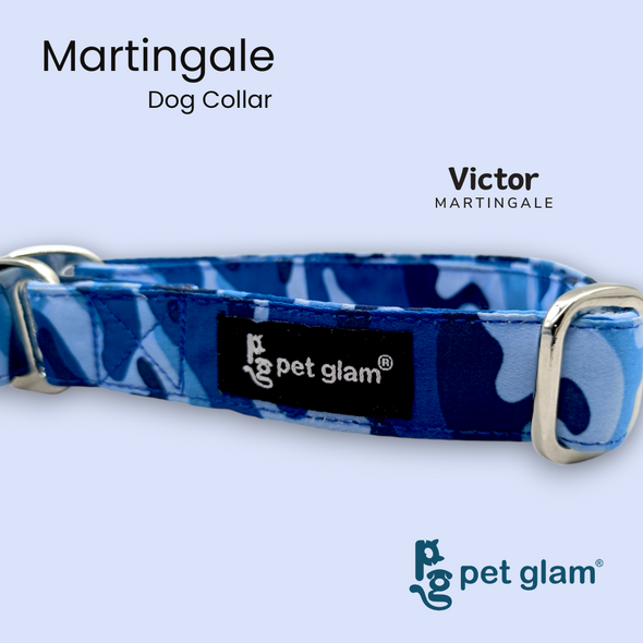 Martingale Collar for Dogs -Victor