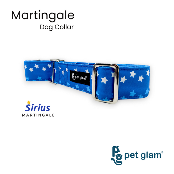 Martingale Collar for Dogs -Sirius