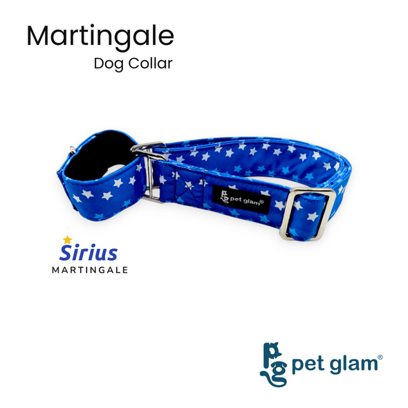 Martingale Collar for Dogs -Sirius