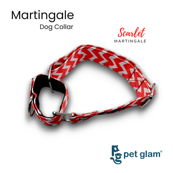 Martingale Collar for Dogs -Scarlet Semi Choke Collar