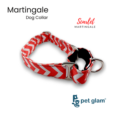 Martingale Collar for Dogs -Scarlet Semi Choke Collar