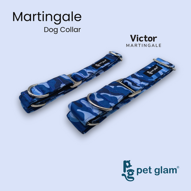 Martingale Collar for Dogs -Victor