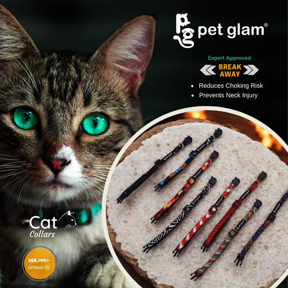 Pet Glam Cat Collars Pack Of 2 -Breakaway Collar for Cats & Kittens (Assorted Designs)