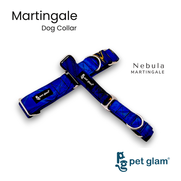 Martingale Collar for Dogs - Nebula