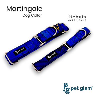 Martingale Collar for Dogs - Nebula