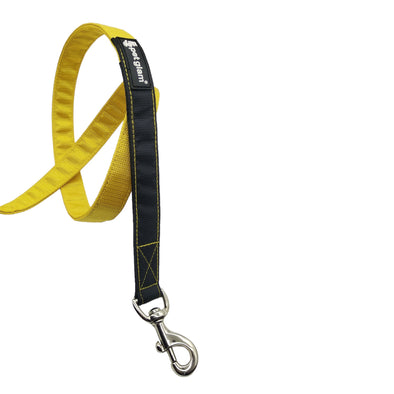 Pet Glam-Dog Leash Bumble 5Ft long