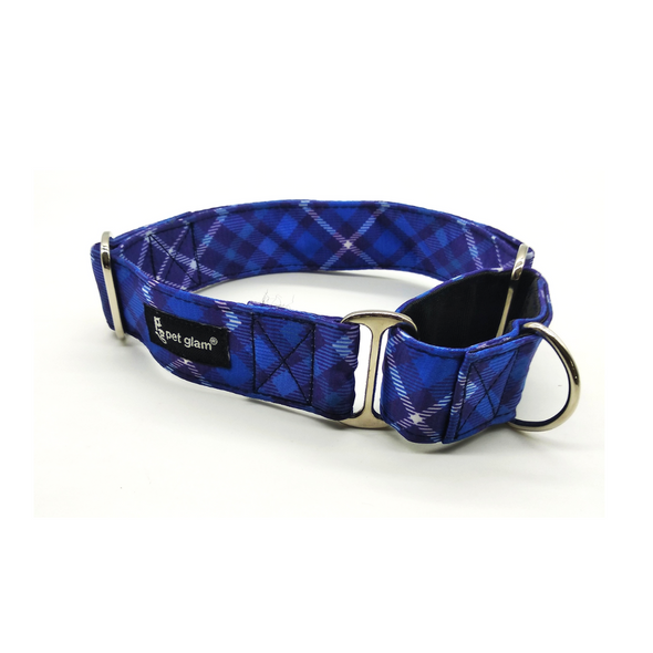 Martingale Collar for dogs indie dog collar dog collar for training dogs 