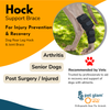 Pet Glam Dog Hock Joint Support Brace-Compression Wrap for Dogs