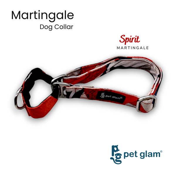 Martingale Collar for Dogs - Spirt - Semi Choke Fabric Dog Collar