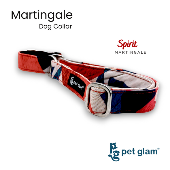 Martingale Collar for Dogs - Spirt - Semi Choke Fabric Dog Collar