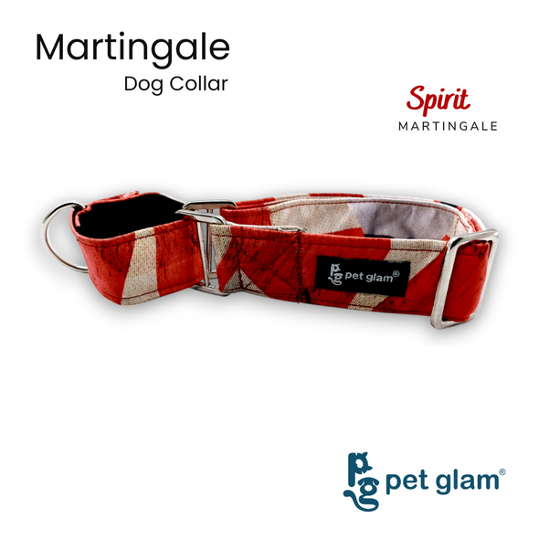 Martingale Collar for Dogs - Spirt - Semi Choke Fabric Dog Collar