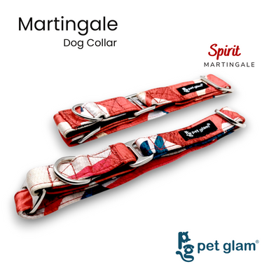 Martingale Collar for Dogs - Spirt - Semi Choke Fabric Dog Collar