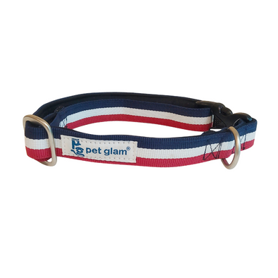 Dog Collar with Padded inner lining - heavy duty buckles for big dogs who pull